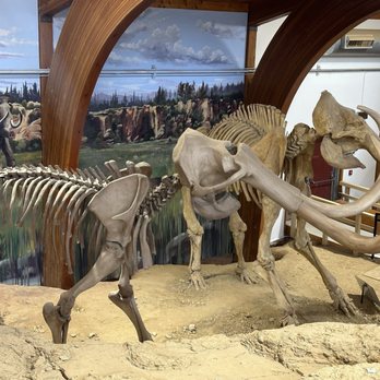 The Mammoth Site - Museums Near Me - Hot Springs, South Dakota The Mammoth Site - Museums Near Me - Hot Springs, South Dakota