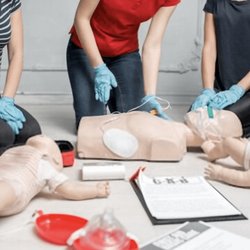 PULSE - BLS Course