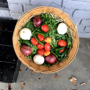 Pain Train Salsa - Holy fresh ingredients! - Herbs & Spices Near Me - Tomball, Texas