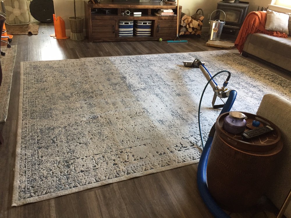 BEYOND CLEAN CARPET Updated September 2024 Kalispell, Montana