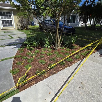 Green Simple Landscape - Landscaping Near Me Green Simple Landscape - Landscaping Near Me
