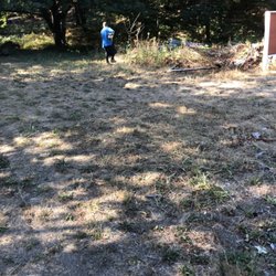 Your Local Handyman - Weed eating property clean up