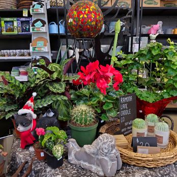 Amity Gardens Center LLC - House plants and gift for last minute shopping. - Nurseries & Gardening Near Me - Bethany, Connecticut Amity Gardens Center LLC - House plants and gift for last minute shopping. - Nurseries & Gardening Near Me - Bethany, Connecticut