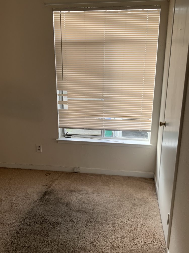 DYNAMIC CARPET CLEANING & RESTORATION Updated October 2024 15