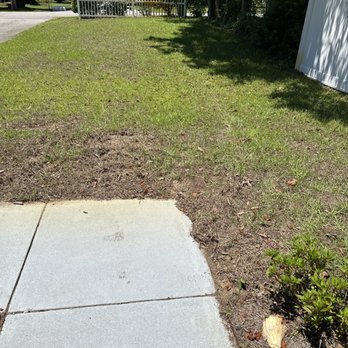 Wallace Landscape & Lawncare - Dying grass - Landscaping Near Me - Myrtle Beach, South Carolina Wallace Landscape & Lawncare - Dying grass - Landscaping Near Me - Myrtle Beach, South Carolina