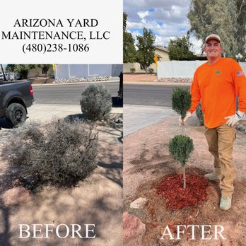 Arizona Yard Maintenance - Plant replacement - Tree Services Near Me Arizona Yard Maintenance - Plant replacement - Tree Services Near Me