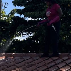 Golden Dove Cleaners - Soft washing a tile roof