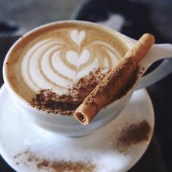 The Press Espresso Coffee Roasters & Kitchen - pumpkin pie latte