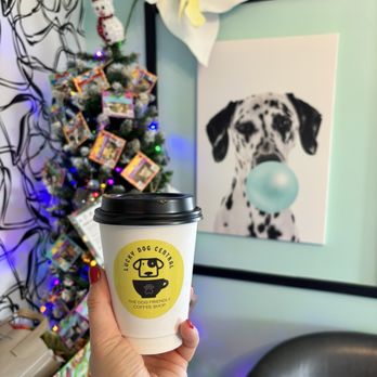 Lucky Dog Central - Vanilla Almond Milk Latte was fab - Pet Stores Near Me - Wildwood, Missouri Lucky Dog Central - Vanilla Almond Milk Latte was fab - Pet Stores Near Me - Wildwood, Missouri