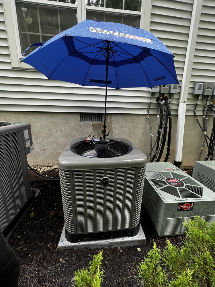 Slide of Premier Services