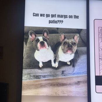 Nando's Mexican Cafe - Cute dogs - Mexican Near Me - Mesa, Arizona