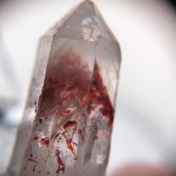 The Crystal Case Rock Shop