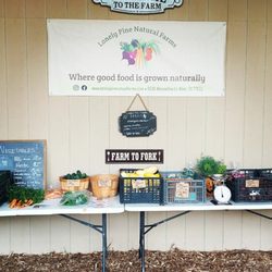 Lonely Pine Natural Farms - Here's our on the farm store.