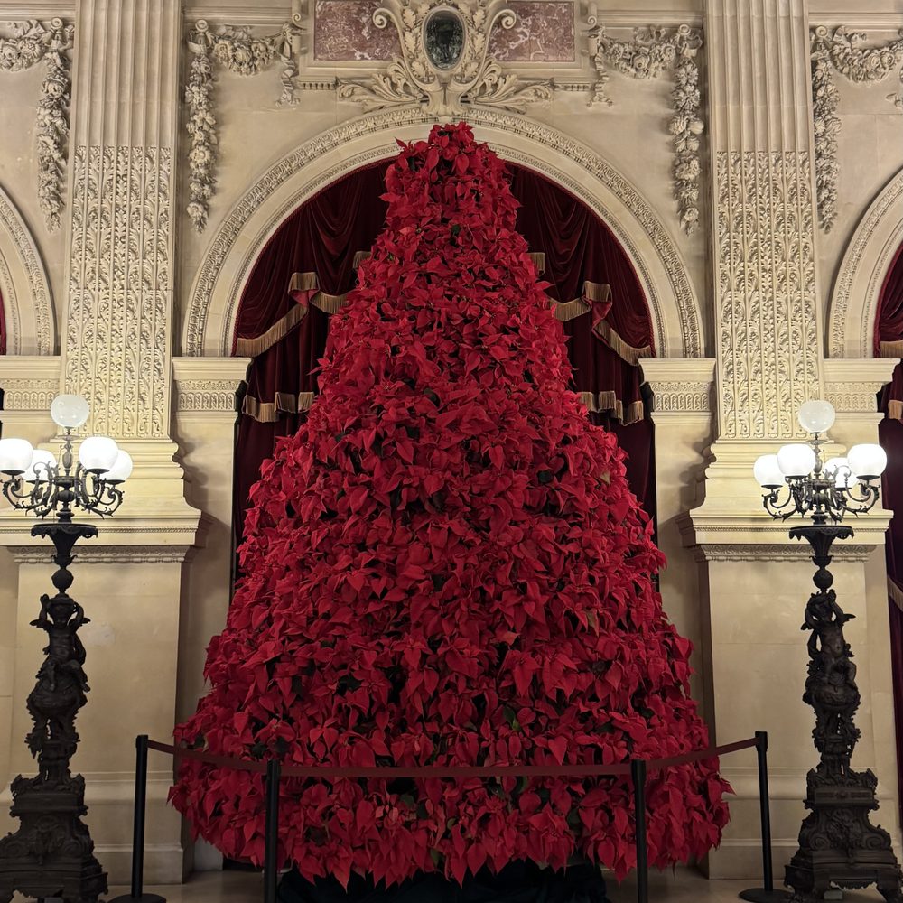 The Breakers - Beautiful Christmas Tree in the Great Hall during December - Landmarks & Historical Buildings Near Me - Newport, Rhode Island The Breakers - Beautiful Christmas Tree in the Great Hall during December - Landmarks & Historical Buildings Near Me - Newport, Rhode Island