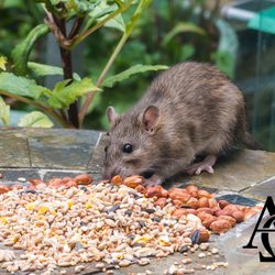 Alpha Omega Pest Control