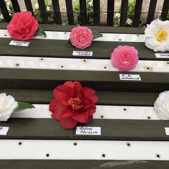 Nuccio's Nurseries - Nurseries & Gardening Near Me - Altadena, California