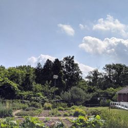 Waterloo Region Museum - Martin farm