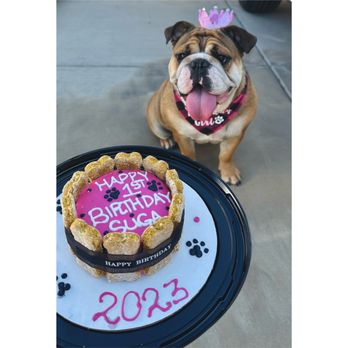 Pawtriotic Dog Bakery - Pet Stores Near Me - Murrieta, California Pawtriotic Dog Bakery - Pet Stores Near Me - Murrieta, California