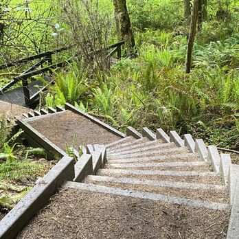 Jedediah Smith Redwoods State Park - Mill Creek Trail - Parks Near Me