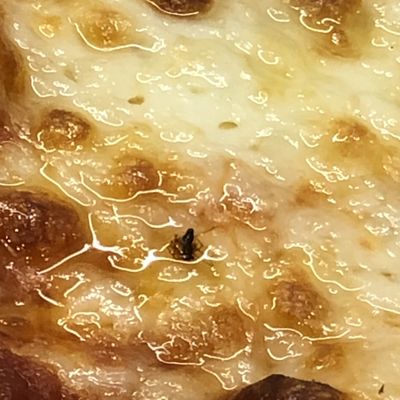 ICCO - "The People's Pizzeria" by null
