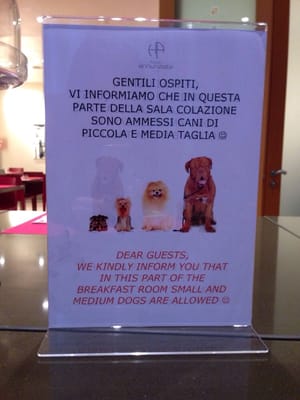 Hotel Annunziata by null