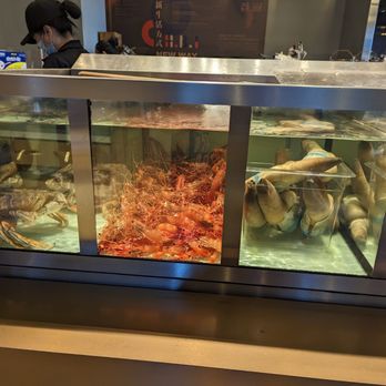 The Dolar Shop - Chinese Near Me - Bellevue, Washington
