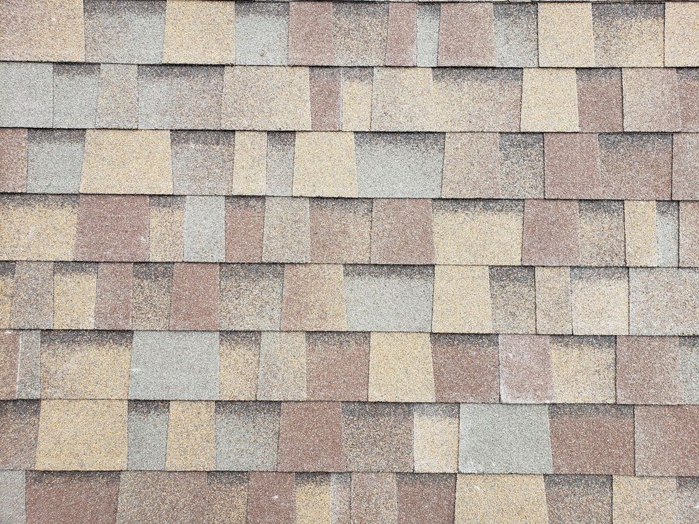 Slide of Magnus Exteriors