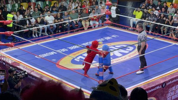 Arena Coliseo by null