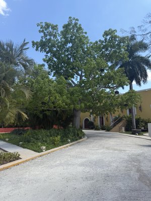 Hacienda Xcanatun, Angsana Heritage Collection by null