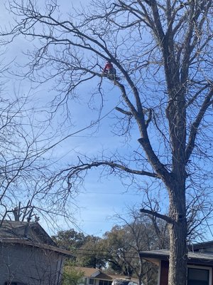 Bayseas Catfish House by null