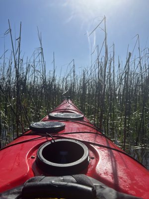 Savannah Canoe and Kayak by null