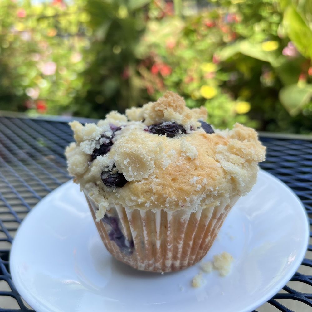 Clifford's Coffee Canal - Blueberry muffin - Coffee & Tea Near Me - Benton Harbor, Michigan Clifford's Coffee Canal - Blueberry muffin - Coffee & Tea Near Me - Benton Harbor, Michigan
