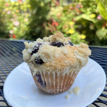 Clifford's Coffee Canal - Blueberry muffin - Coffee & Tea Near Me - Benton Harbor, Michigan Clifford's Coffee Canal - Blueberry muffin - Coffee & Tea Near Me - Benton Harbor, Michigan