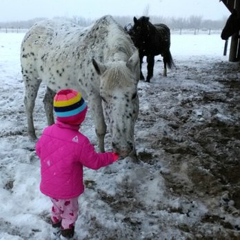 12 Mile Stables - A snowy day at 12 Mile Stable - Horseback Riding Near Me - Aurora, Colorado