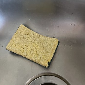 Daven Haven Lodge - Daven Haven Lodge and Cabins Cleaning sponge.  One for the entire cabin. - Venues & Event Spaces Near Me - Grand Lake, Colorado