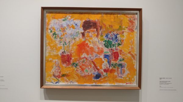 Helsinki Art Museum (HAM) by null