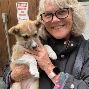 Seavey's IdidaRide Dog Sled Tours - Tours Near Me - Seward, Alaska Seavey's IdidaRide Dog Sled Tours - Tours Near Me - Seward, Alaska