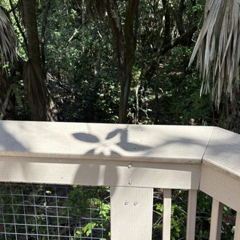 Gumbo Limbo Nature Center - Cool shadow - Parks Near Me - Boca Raton, Florida Gumbo Limbo Nature Center - Cool shadow - Parks Near Me - Boca Raton, Florida
