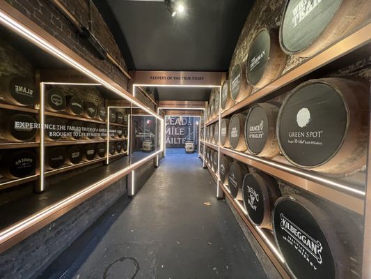 Irish Whiskey Museum by null