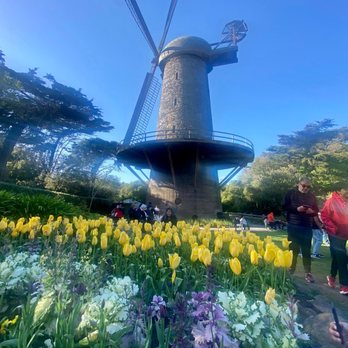 Golden Gate Park Windmills - 04.08.23 seasonal blooms of colorful tulips with views of the historic Dutch Windmill - Landmarks & Historical Buildings Near Me - San Francisco, California Golden Gate Park Windmills - 04.08.23 seasonal blooms of colorful tulips with views of the historic Dutch Windmill - Landmarks & Historical Buildings Near Me - San Francisco, California