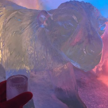 Xtracold Icebar Amsterdam - Animals ice sculpted. Priceless! Get the coolest pictures on your trip - Pubs Near Me - Amsterdam, New Hampshire Xtracold Icebar Amsterdam - Animals ice sculpted. Priceless! Get the coolest pictures on your trip - Pubs Near Me - Amsterdam, New Hampshire
