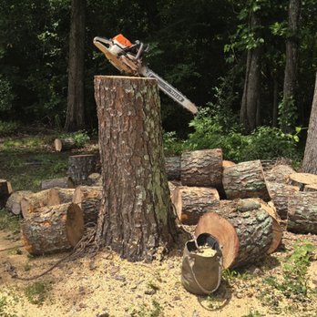 Wolverine Stumps N More - Tree Services Near Me - Rome, Georgia Wolverine Stumps N More - Tree Services Near Me - Rome, Georgia