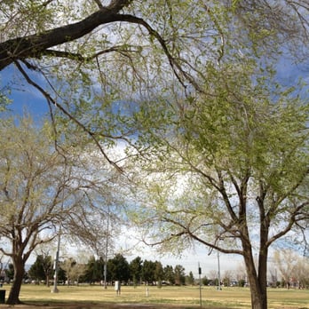 Sunset Park - Dog Parks Near Me - Las Vegas, Nevada Sunset Park - Dog Parks Near Me - Las Vegas, Nevada