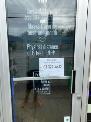 Hair Of The Dog Wash and Groom by null