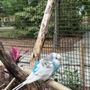 Photo of Gulf Breeze Zoo