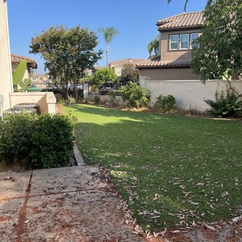 Cortez Tree Trimming And Maintenance - Before - Tree Services Near Me - Laguna Beach, California Cortez Tree Trimming And Maintenance - Before - Tree Services Near Me - Laguna Beach, California