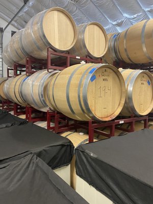 Foursight Wines by null