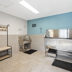 The Reserve at Capital Center Apartment Homes - Paw Spa