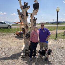 Golden Eagle RV Park - Golden Eagle RV Park, birds and animals and us!