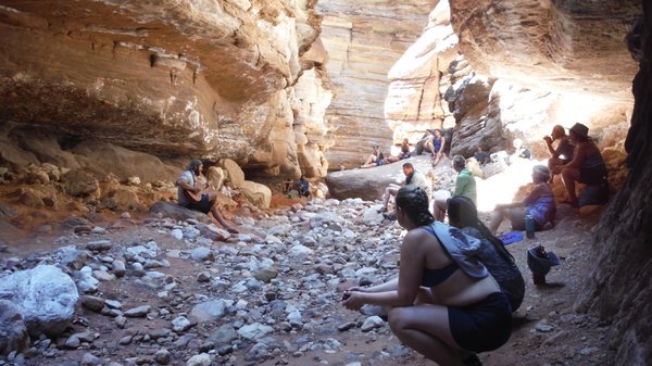 Grand Canyon Expeditions by null
